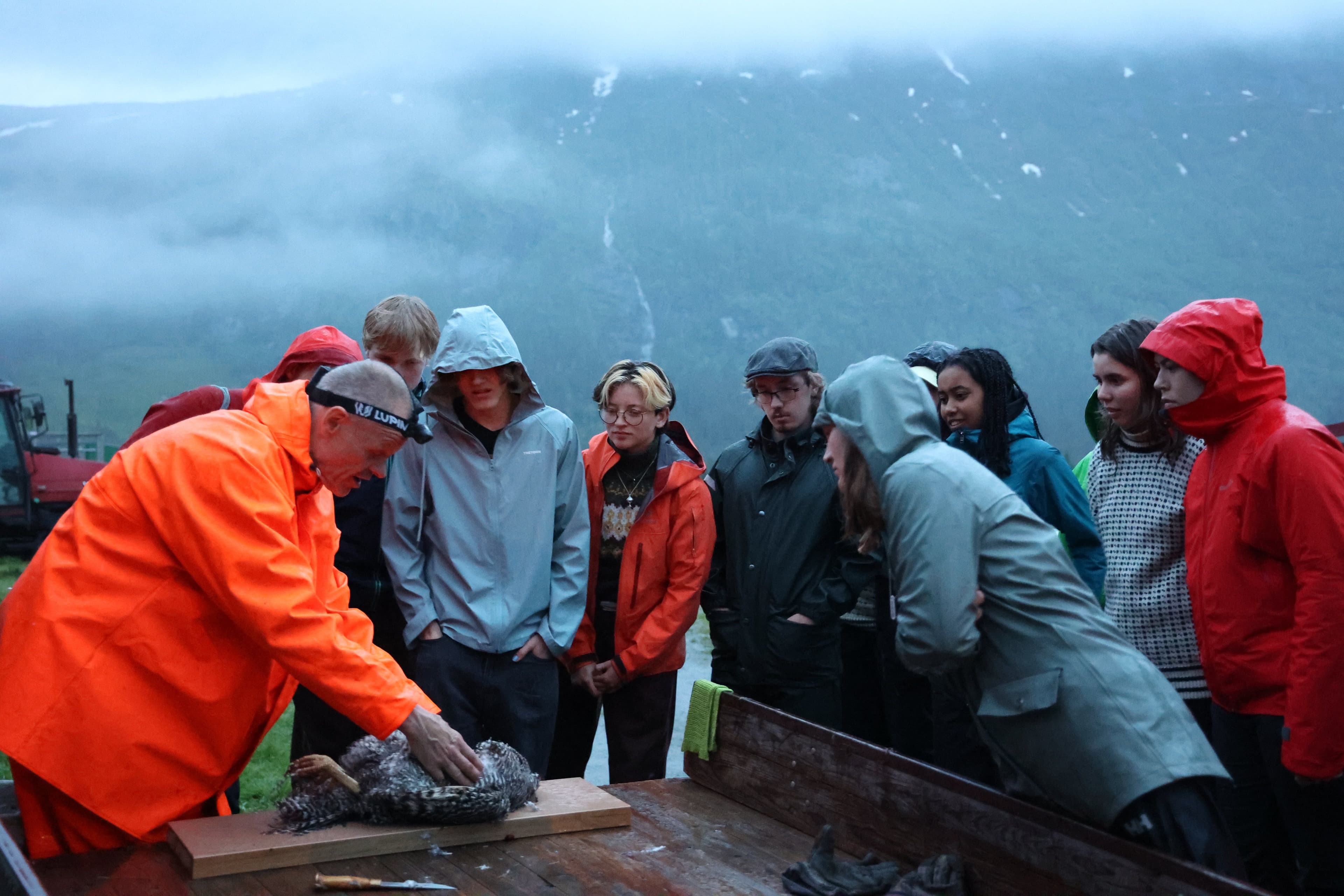mann slakter en høne