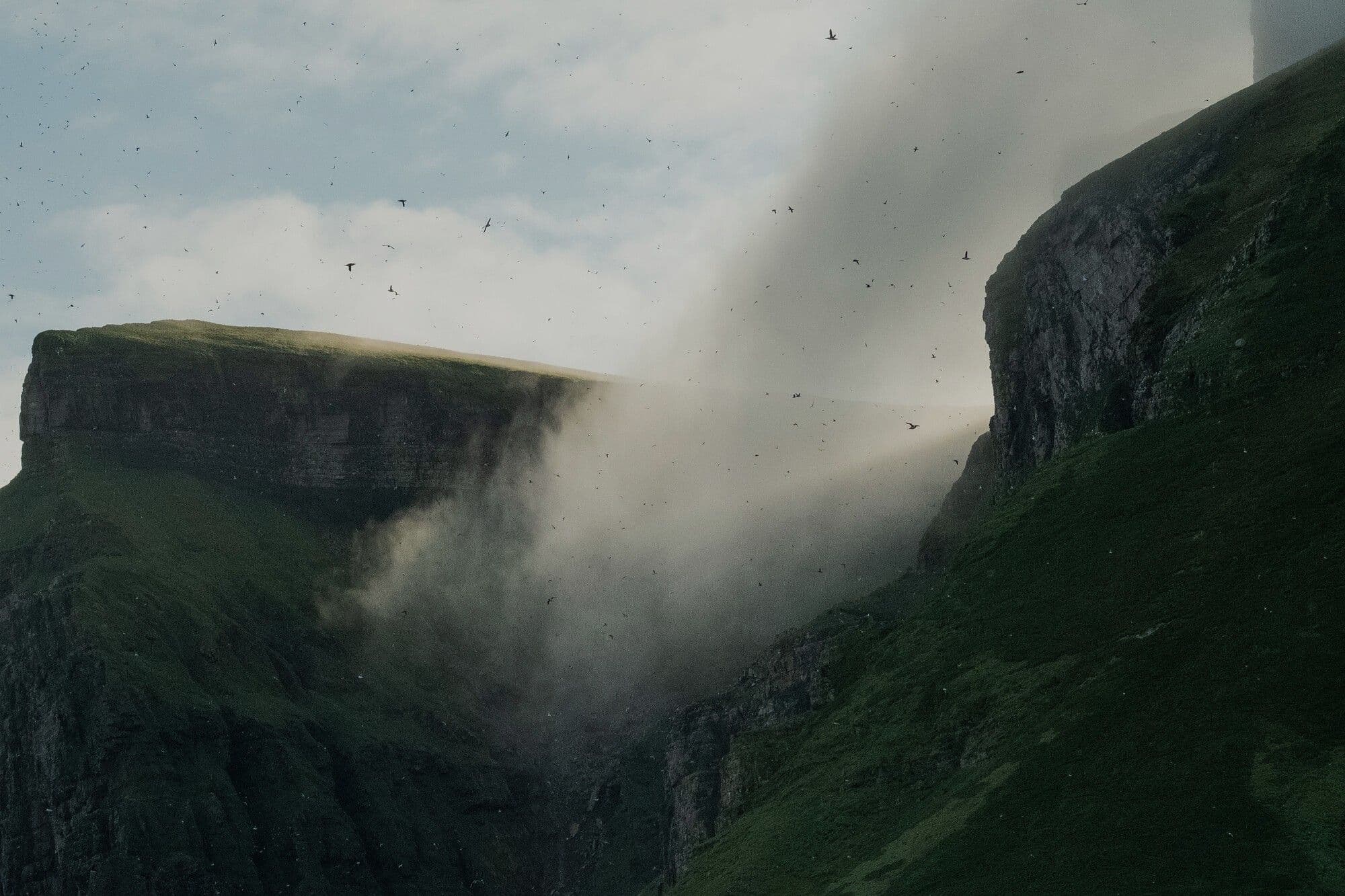 Fugler som flyr rundt fjell