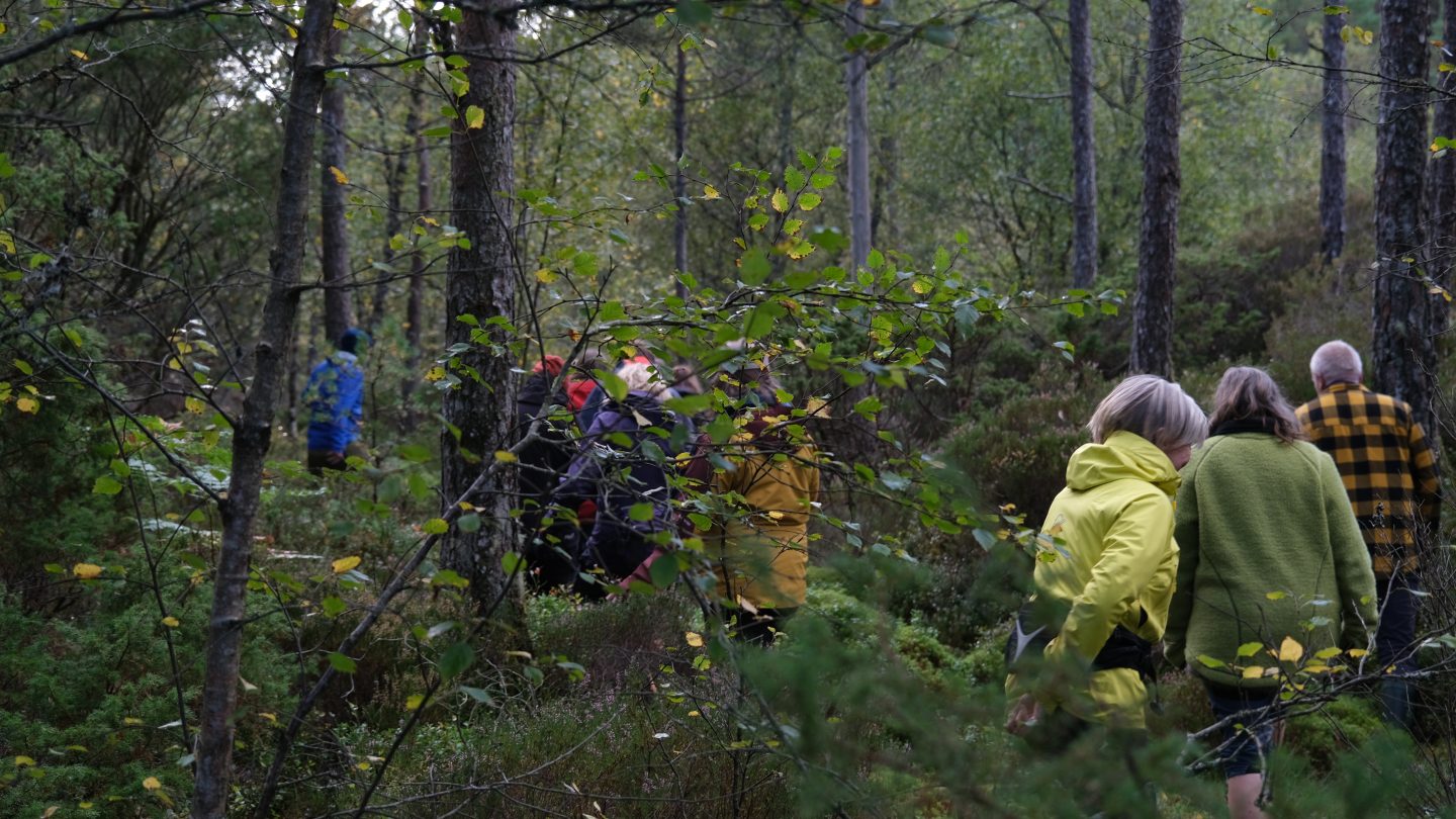 Unge og gamle i fargerike jakker på skogstur i regnskogen på Reksteren