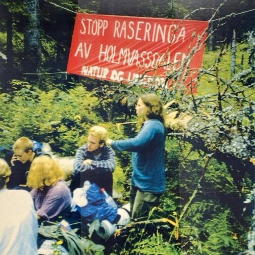 Ungdommer sitter i skogen og aksjonerer framfor et rødt banner: stopp raseringa av Holmavassdalen